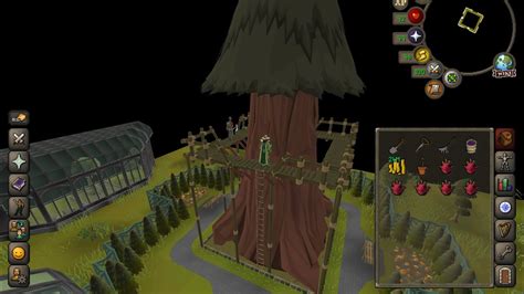 redwood tree osrs|osrs redwood tree exp farming.